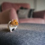 Dankbarkeit im Alltag: Was würde die Liebe jetzt tun?